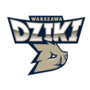 Dziki Warszawa