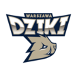 Dziki Warszawa